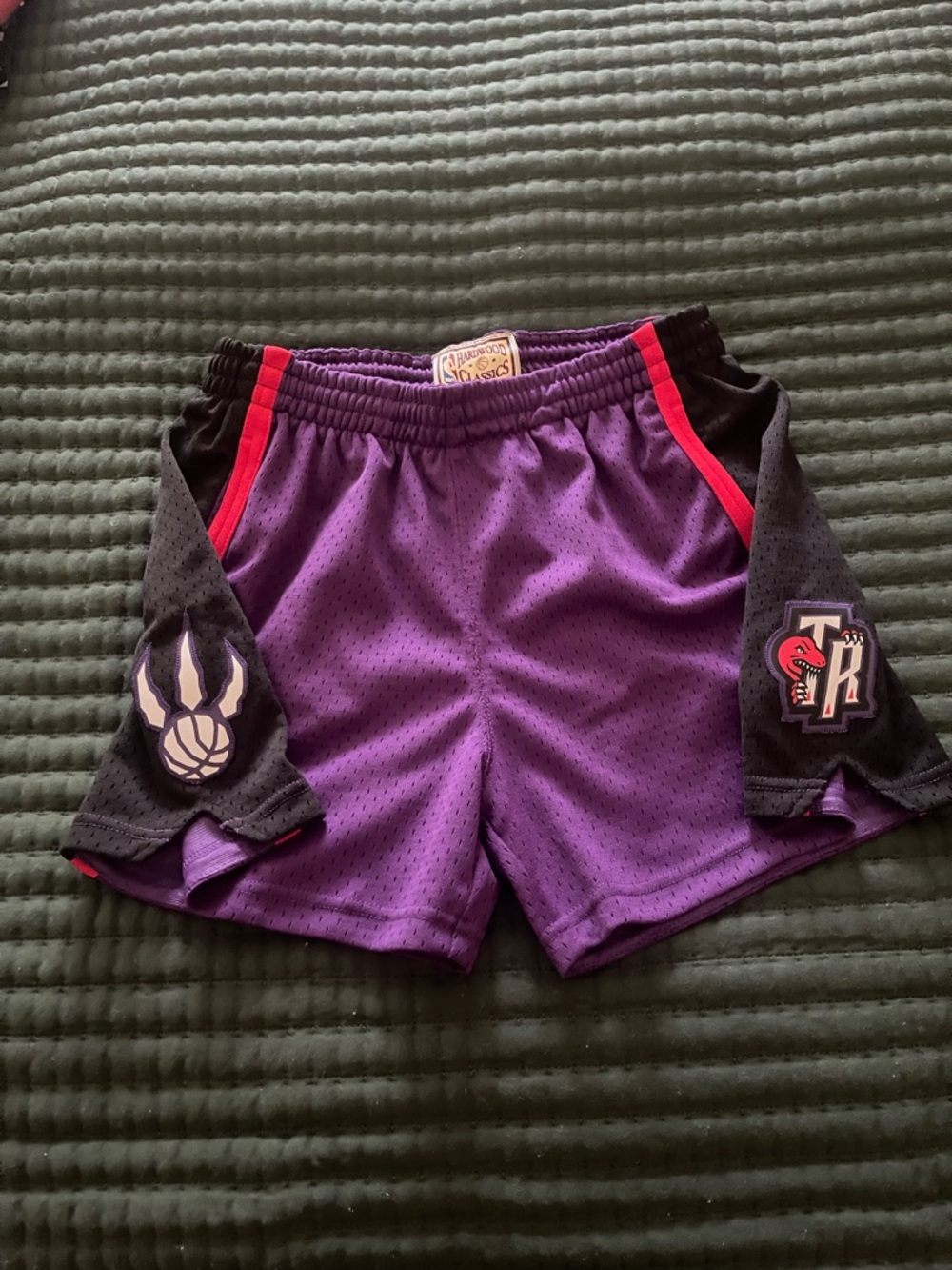 Mitchell & Ness Toronto Raptors Womens shorts